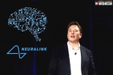 Neuralink, Elon Musk latest updates, elon musk s neuralink gets fda approval, Fda