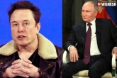 Elon Musk latest updates, Elon Musk Vladimir Putin, elon musk s sensational predictions on vladimir putin, Tweet