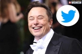 Elon Musk twitter, Elon Musk tweets, elon musk hints at buying twitter at a lower price, Shares