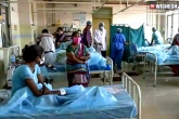 Eluru mystery illness deaths, Eluru mystery illness health news, eluru mystery illness 100 people still in the hospital, Eluru mystery illness