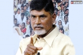 Stephenson, TDP, end to trs government if naidu gets arrested, Trs government