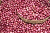 India news, Pune news, farmer earns rs 1 for 100 kg onions, Onions