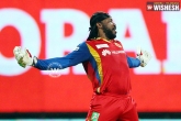 Chris Gayle, IPL, gayle storm hits bangalore as rcb thrash kings xi punjab by 138 runs, Royal challengers bangalore