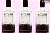 unbelievable facts, Ants alcohol, gin prepared with ants, Ants gin