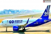 Go First, Go First latest updates, go first files a insolvency tata and indigo in race, Insolvency