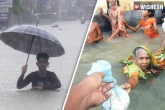 Nepal And Bangladesh, Google, google announces 1 million aid for flood hit india nepal and bangladesh, Nepal pm