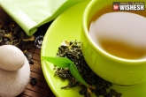 alzeimers symptoms, green tea reverse alzeimers, green tea and exercise may overturn alzheimer s, Green tea