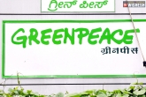 Greenpeace, Greenpeace, greenpeace alleged for coverup of rape and sexual assault, Sexual assault