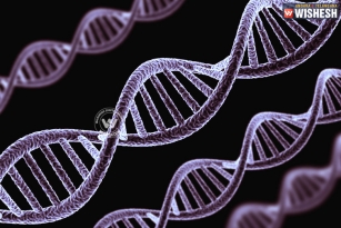 Group of genes behind looking young, says study
