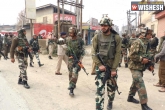 Jammu and Kashmir, Terrorists killed, gunfight between security forces and terrorists in jammu 1 terrorist killed, Security forces