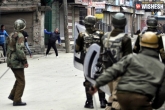 Militants killed, Gunfight in Kashmir, gunfight in kashmir 3 let militants killed, Security forces