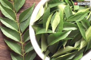 The Five Amazing Health Benefits Of Curry Leaves