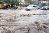 Andhra Pradesh, Venkaiah Naidu, heavy rainfall for next 3 days in andhra pradesh, Property