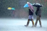 IMD reports in Telangana, Yellow alert in Telangana, fresh heavy rains in hyderabad, Telangana rains