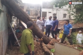 Hyderabad rains updates, Hyderabad rains new, 162 trees in hyderabad uprooted due to heavy rains, Hyderabad municipal corporation