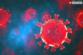 Coronavirus Hyderabad, Coronavirus latest, hyderabad scientists find new variant for coronavirus, Hyderabad scientists