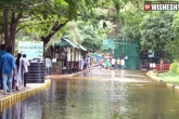 rain, rain, hyderabad zoo enclosure submerge animals fall sick, Nehru