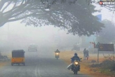 Hyderabad breaking news, Hyderabad latest, cold wave warning issued for hyderabad, Hyderabad temperature