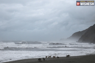 IMD Indicates Cyclonic Storm to hit Tamil Nadu Coast on Dec 2