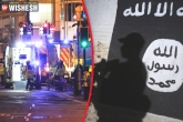 Terror Attack, ISIS Twitter, hours before manchester explosion isis supporter tweeted about attack, Manchester
