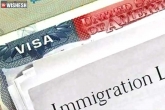 Immigration scams USA news, Immigration scams USA latest updates, immigration scams saw a huge rise in the usa, Scams