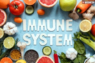 Four Immunity boosting foods to fight Illness