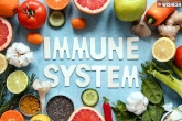 Immunity boosting foods breaking news, Immunity boosting foods latest updates, four immunity boosting foods to fight illness, Food