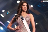 Miss Universe 2021 updates, Miss Universe 2021 news, india based harnaaz sandhu named miss universe 2021, Harnaaz sandhu