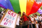 Union law minister DV Sadananda Gowda, Section 377, india to decriminalise section 377, Law minister