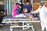 coronavirus deaths, Coronavirus cases, indian coronavirus daily continues to dip down, India news