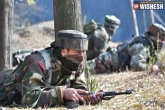 India, Soldier death, indian launches counter offensive after pak violates ceasefire, Ceasefire