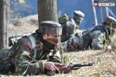 Pakistan, Counter-offensive, indian launches counter offensive after pak violates ceasefire, Ceasefire