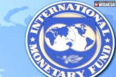 IMF, IMF, indian economy is vibrant imf, Imf
