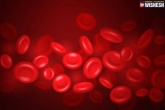 Anemia, Iron intake anemia, iron intake alone cannot reduce anemia says study, Nutrition