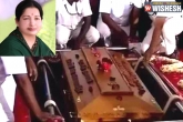 Tamil Nadu Chief Minister, Tamil Nadu Chief Minister, puratchi thalaivi jayalalithaa s last rites performed, Thalaivi