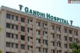Flash Strike, Junior Doctors At Gandhi Hospital, junior doctors at gandhi hospital resort to flash strike, Flash