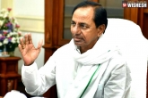 maroon colour passbooks news, maroon colour passbooks for land owners, kcr orders to issue maroon colour passbooks, Dharani portal