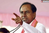 Telangana polls latest news, KCR, voters are not mature enough says kcr, Voter