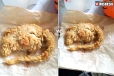 KFC, food controversy, kfc serves rat instead of chicken, Chicken