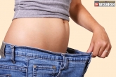 Belly Fat latest, Belly Fat foods, how to lose your belly fat, Belly