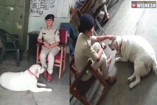 MP Cops Taking Care of a Pet After Owner Arrested in a Murder Case