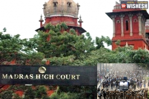 Madras High Court Slams TN Govt On Thoothukudi Incident