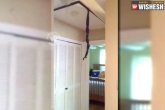 video, video, man finds two snakes hanging from ceiling videos goes viral, Ceiling