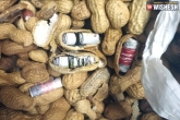 Murad Alam arrested, Murad Alam arrested, man held for smuggling rs 45 lakh foreign currency in groundnut shells, Smuggling