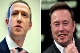 Mark Zuckerberg Vs Elon Musk comparision, Mark Zuckerberg Vs Elon Musk net worth, mark zuckerberg becomes richer than elon musk, Wealth x