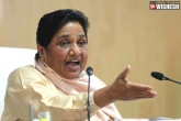 Mayawati updates, BSP, alwar gangrape case mayawati slams narendra modi, Mayawati