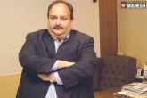 Mehul Choksi latest, Mehul Choksi latest, mehul choksi s assets worth rs 24 7 cr seized by ed, Punjab national bank