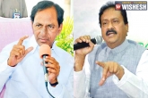 Andhra pradesh, Mohammed Ali Shabbir, kcr makes tall claims like a sheik chilli congress leader, Chilli
