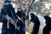 Pareen Sevgeen, Sinjar, more than jihadi brides, Syria