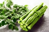 Moringa is a Good Substitute For Milk